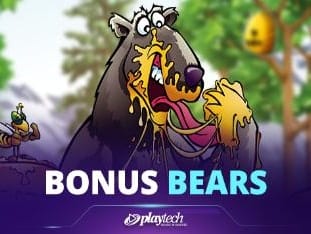 Bonus Bears game thumbnail